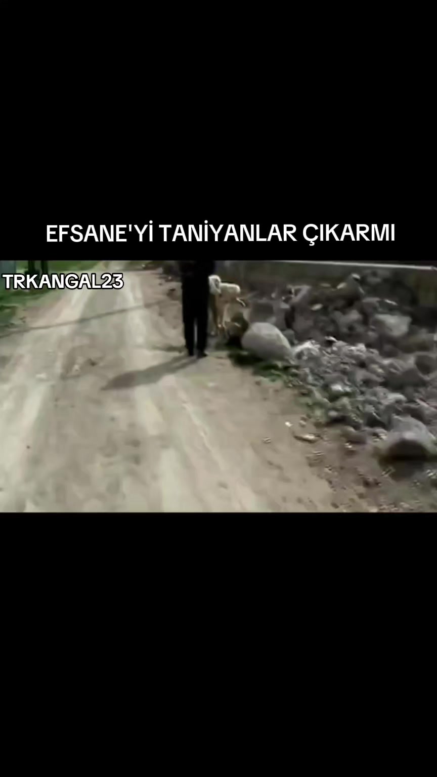 @🏆 TRKANGAL23 🏆