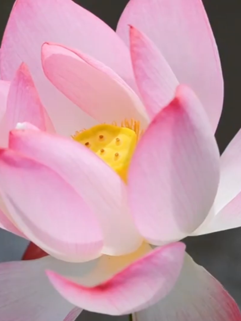 @Võ Hiệp đang tu tiên