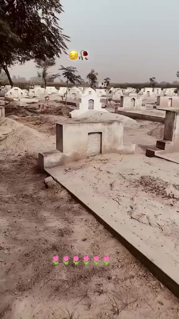 @صالحه القحطاني 🪄