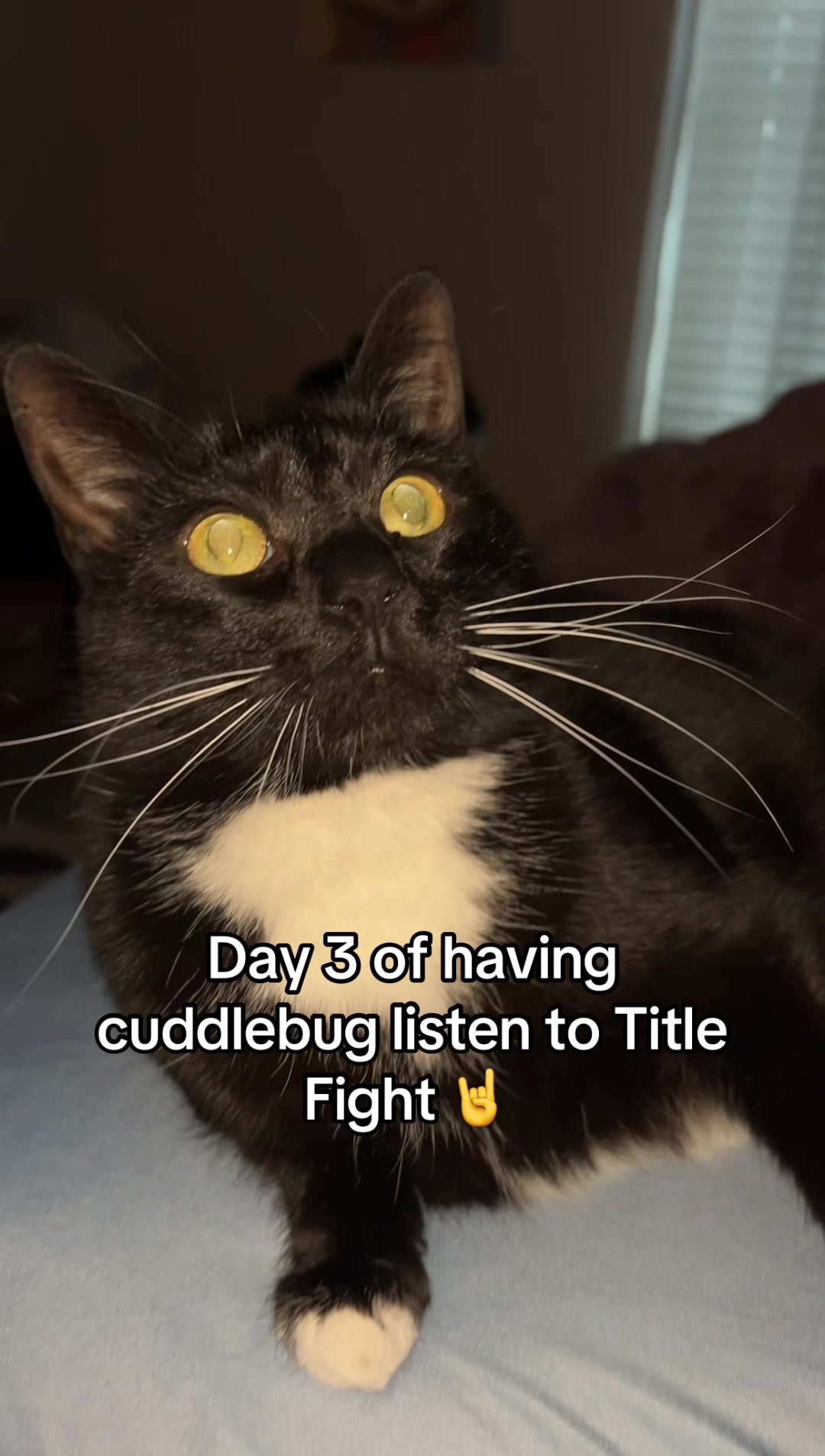 @CuddleBug