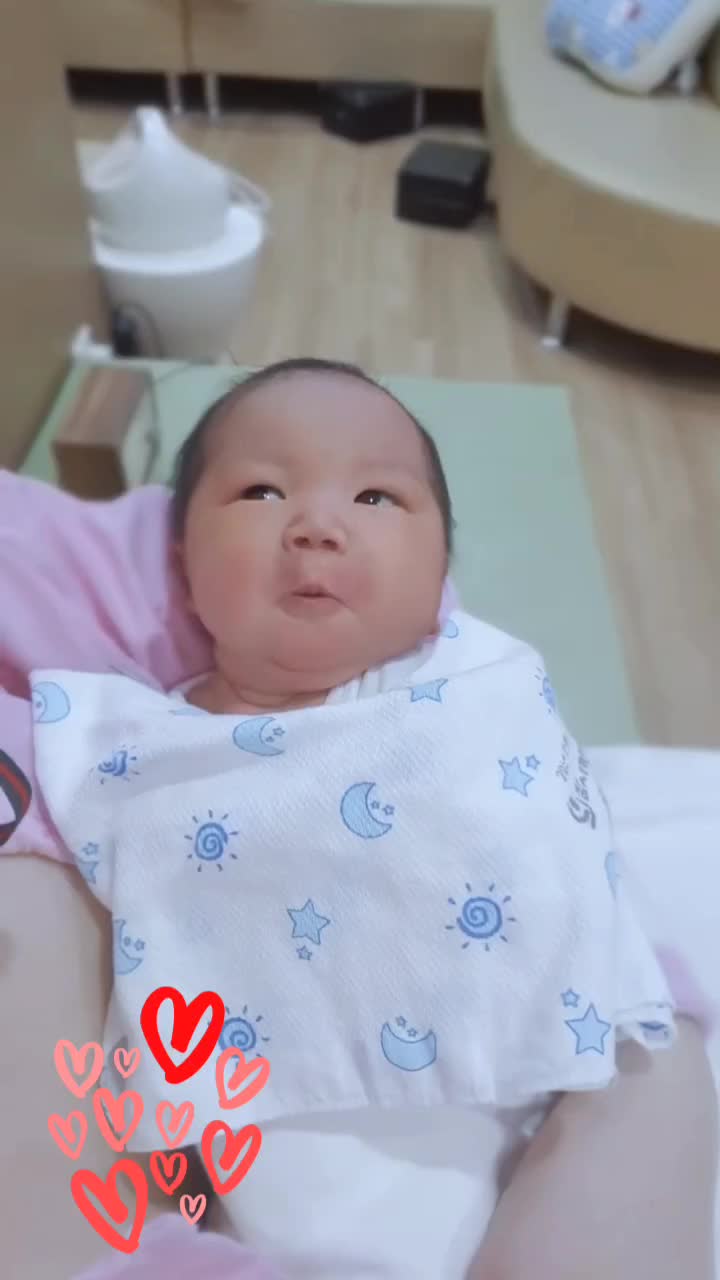 @☆돌도리☆