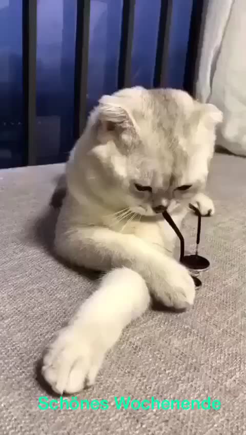 @Cimcime