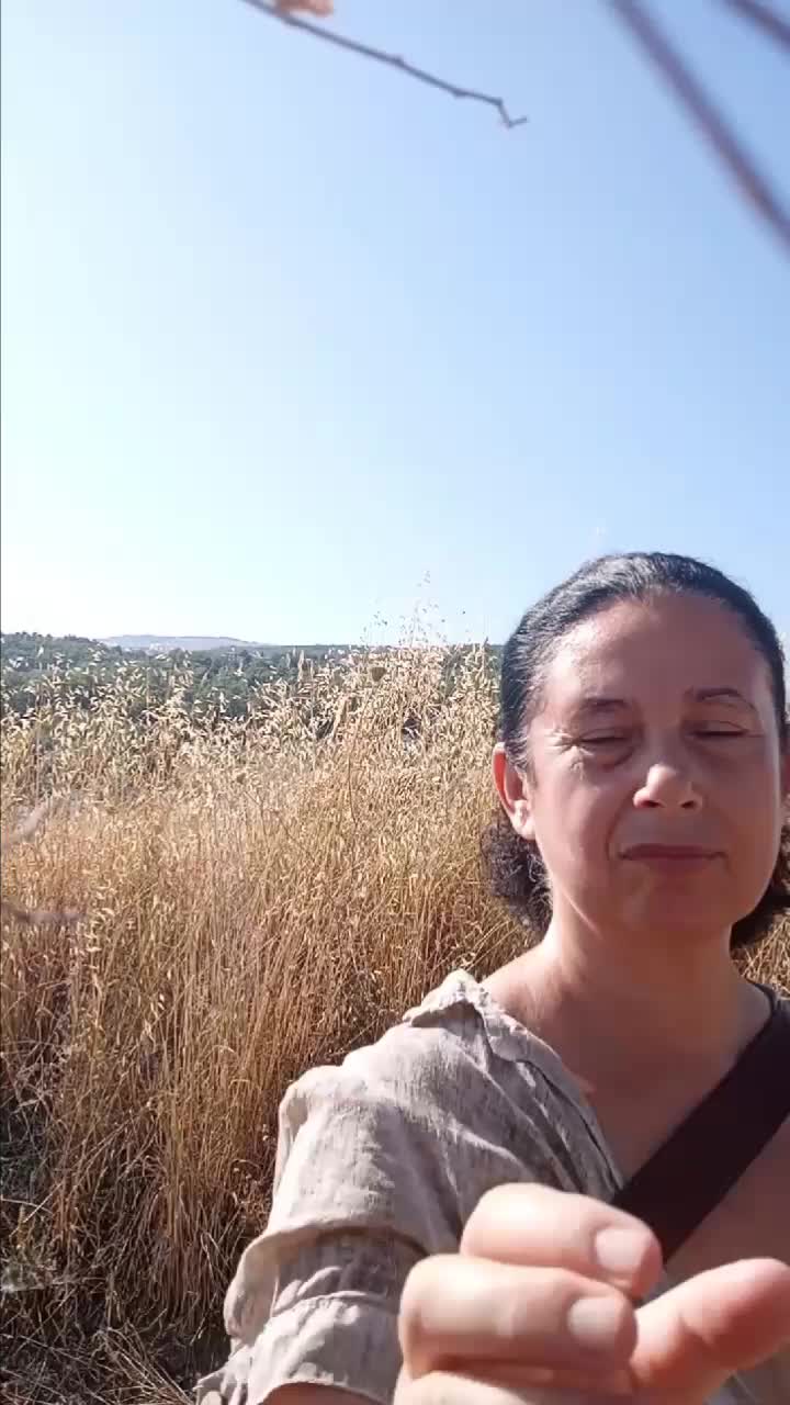 @Emilia Di Giovanni