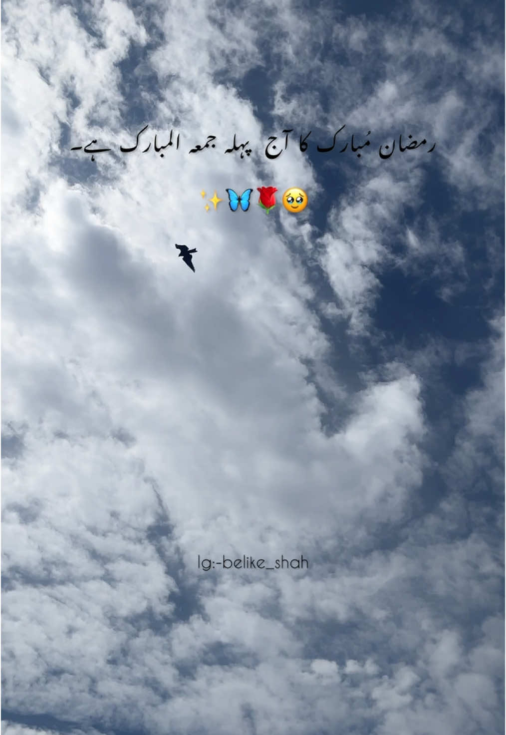 @𝙃𝙖𝙨𝙚𝙚𝙗💸