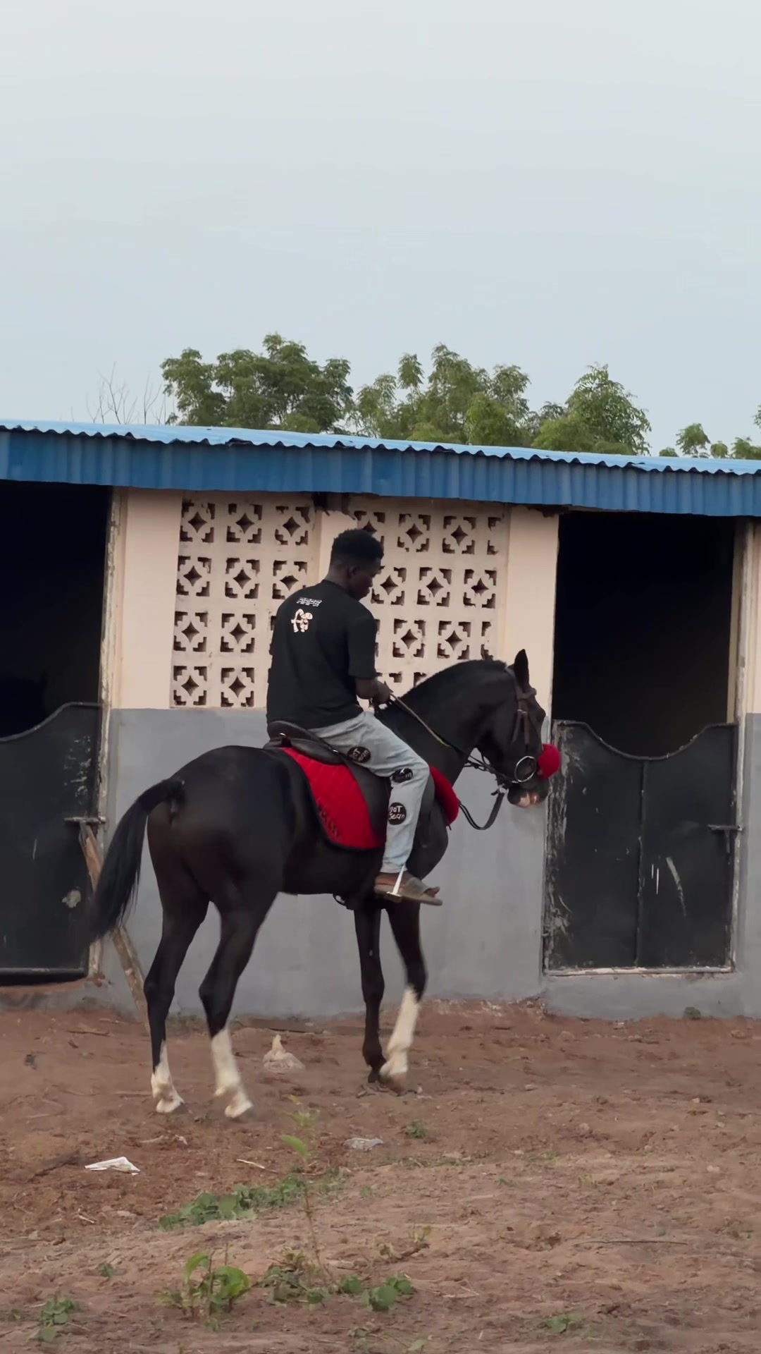 @GIWA🐴EQUESTRIAN🐎♥️WORLDWIDE