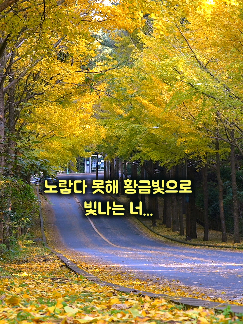 @홍피디 HONG_PD