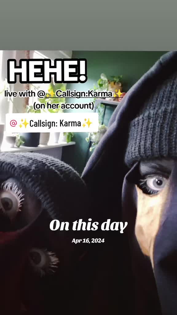 @pocketsizekönig