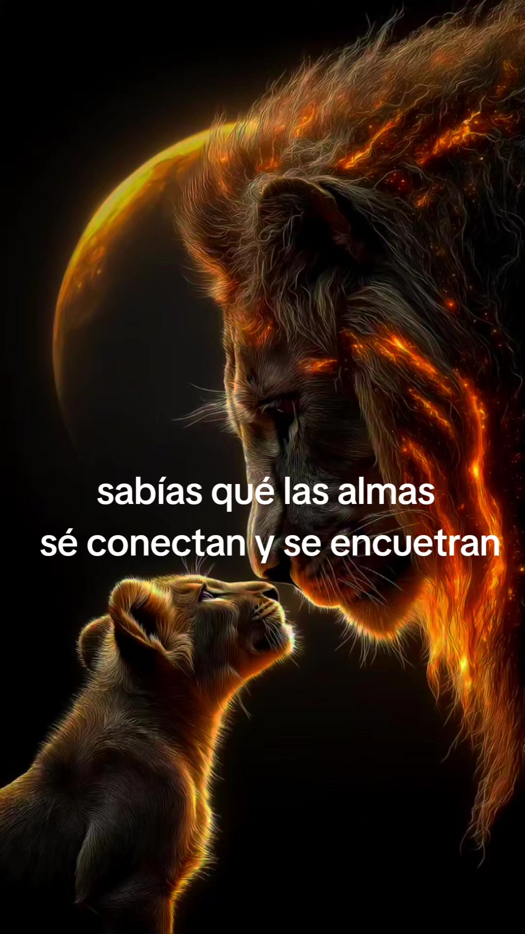 @leoletsss