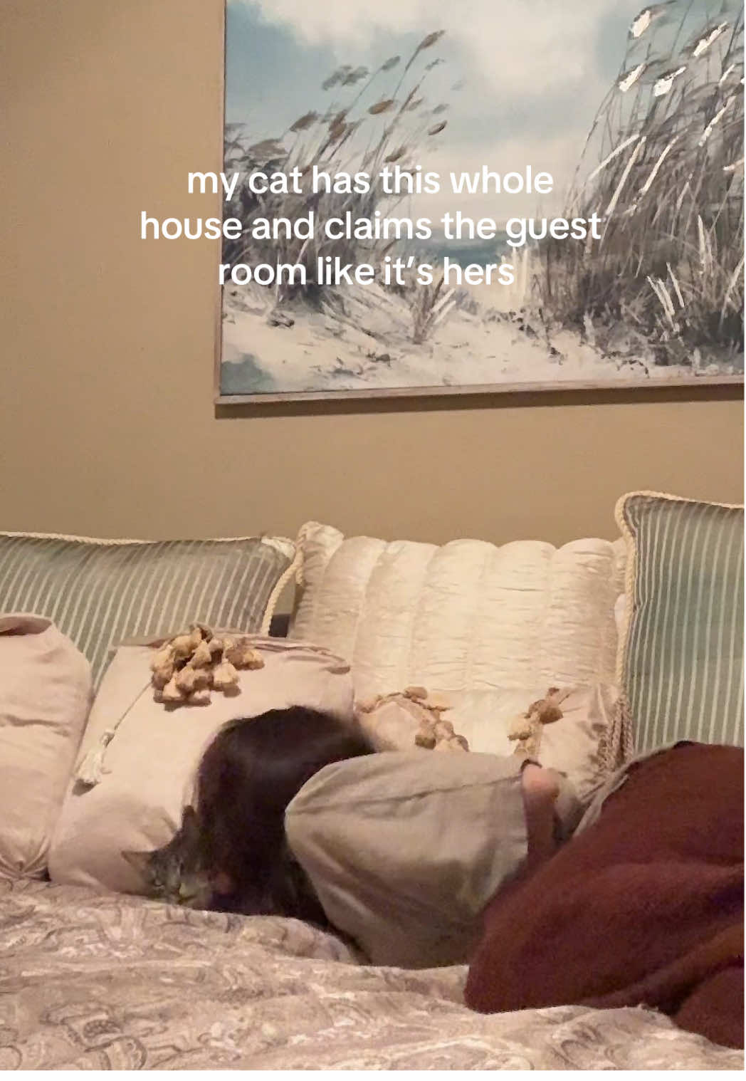 @isabella