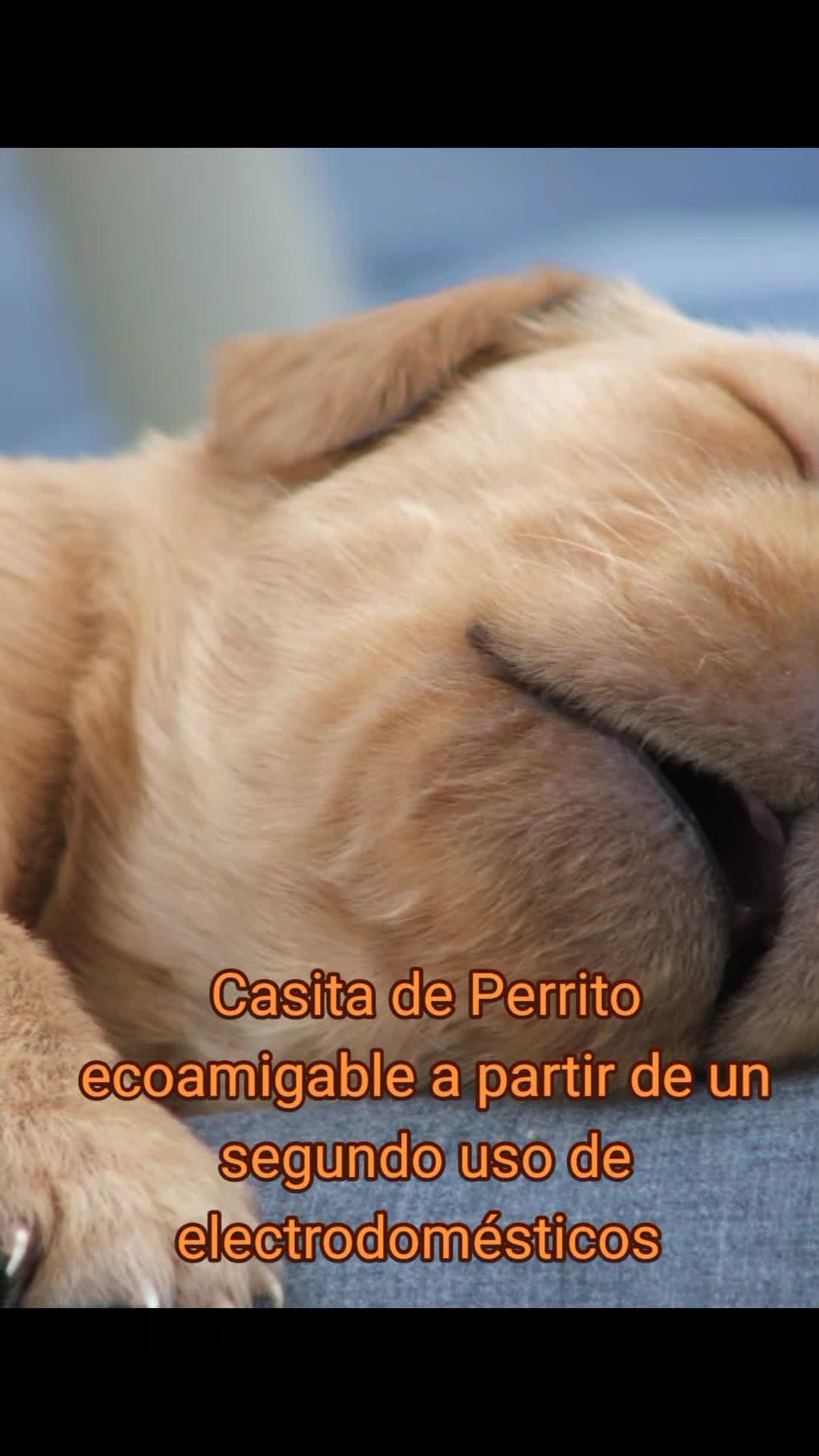 @RobertEMPRENDEDOR