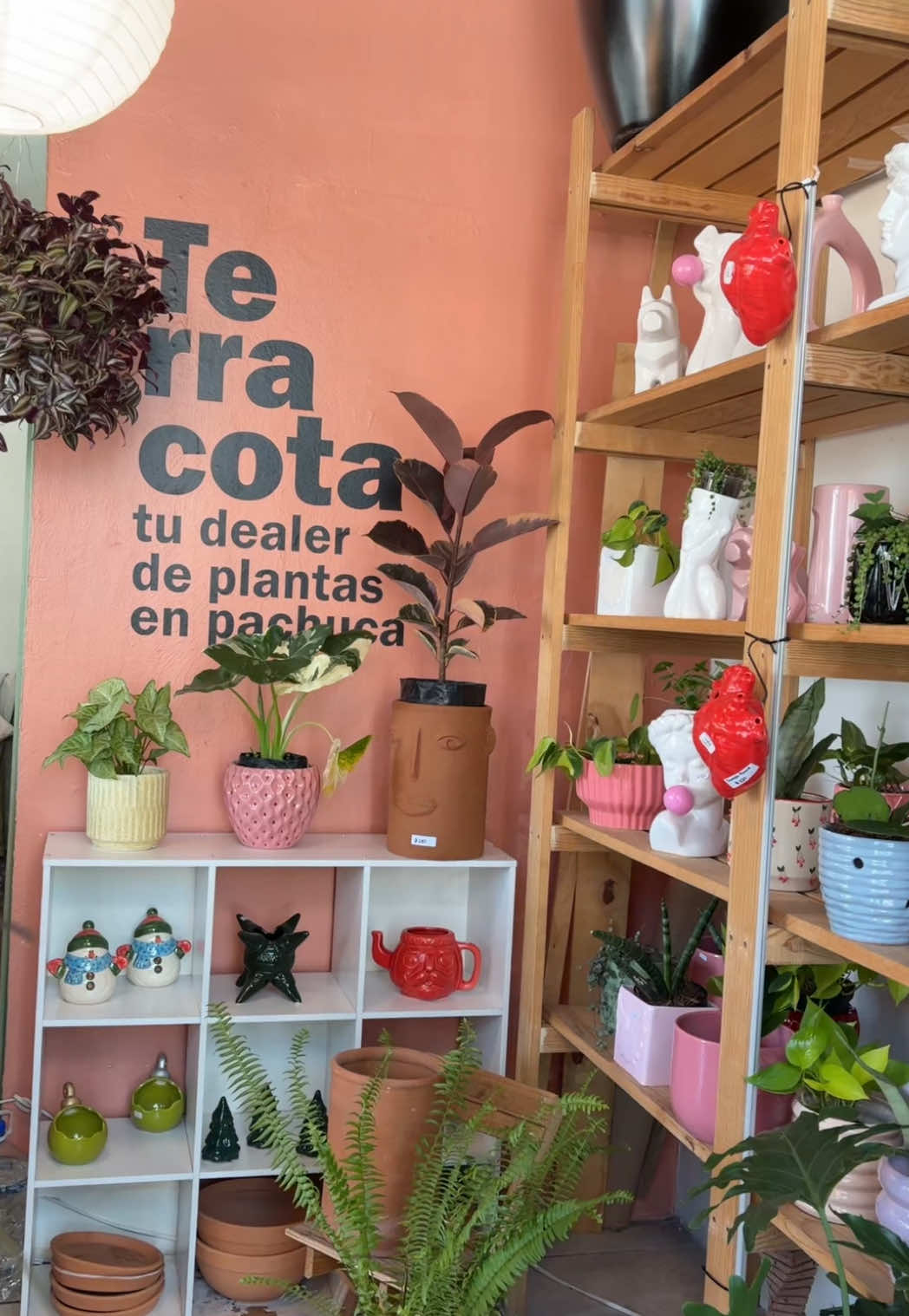 @Terracota