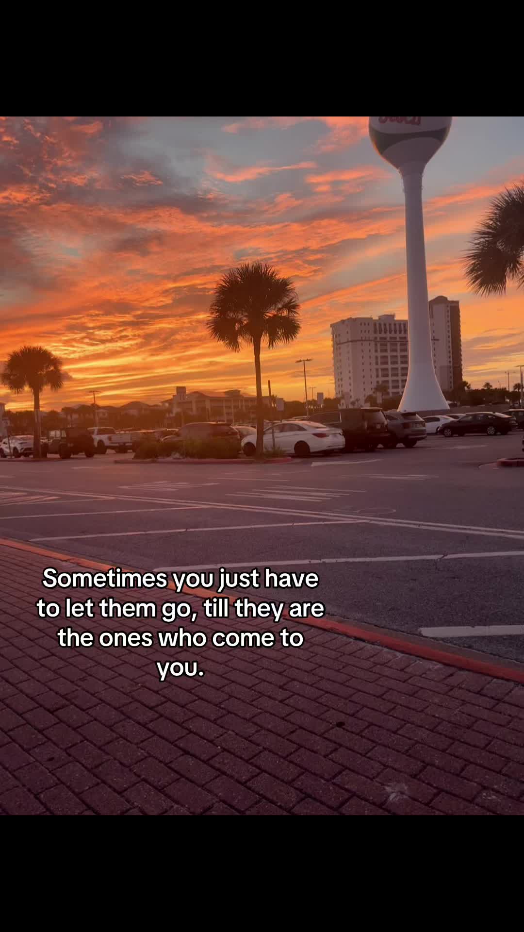 @LILY🩷🩷