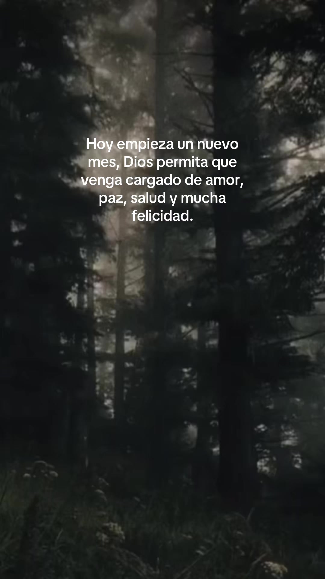 @Liliana Merino