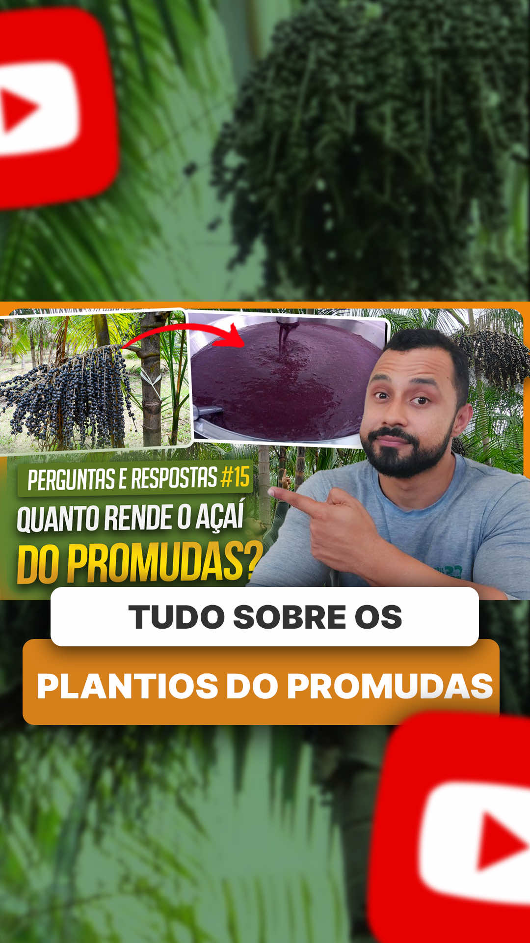 @ViveiroProMudas