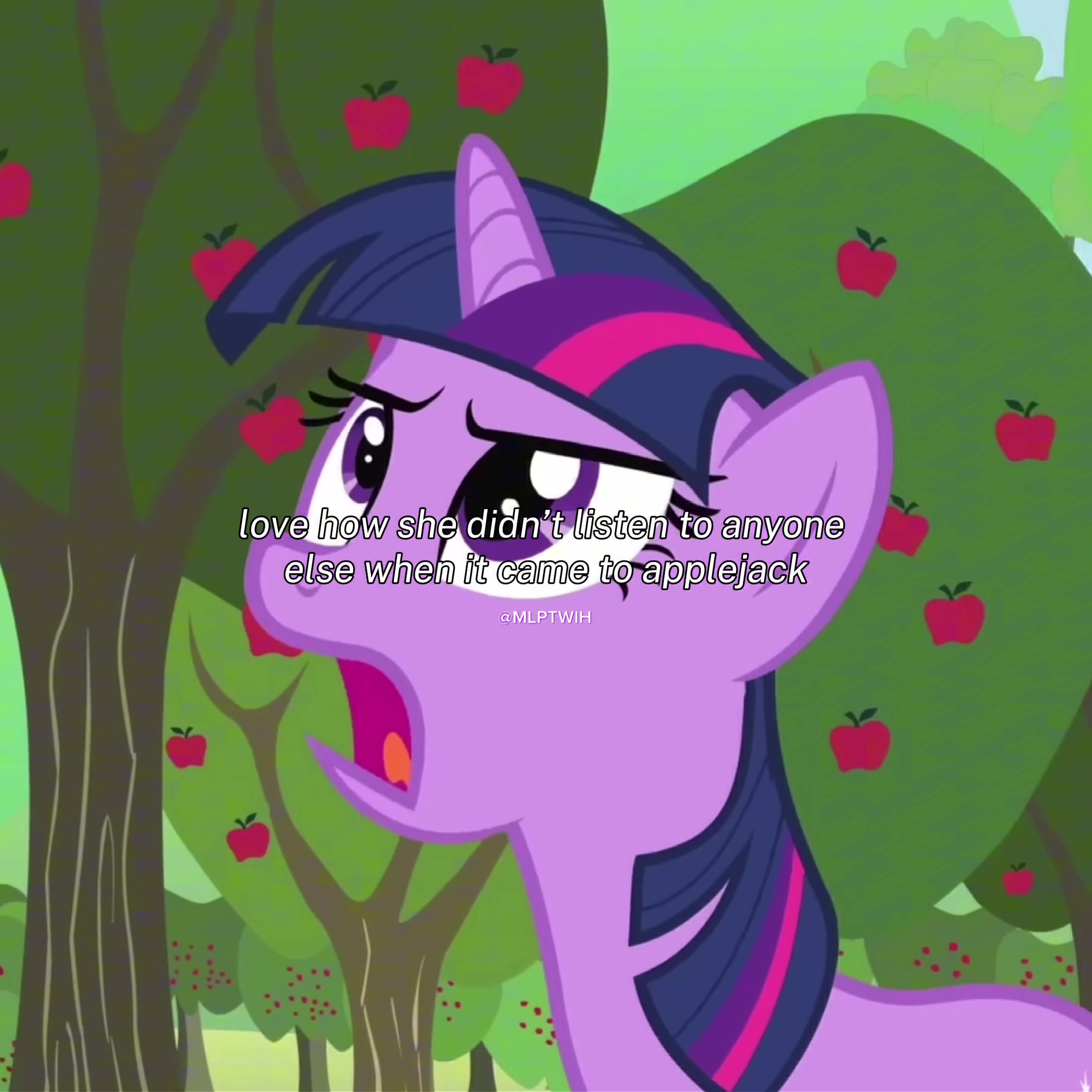 @mlptwih