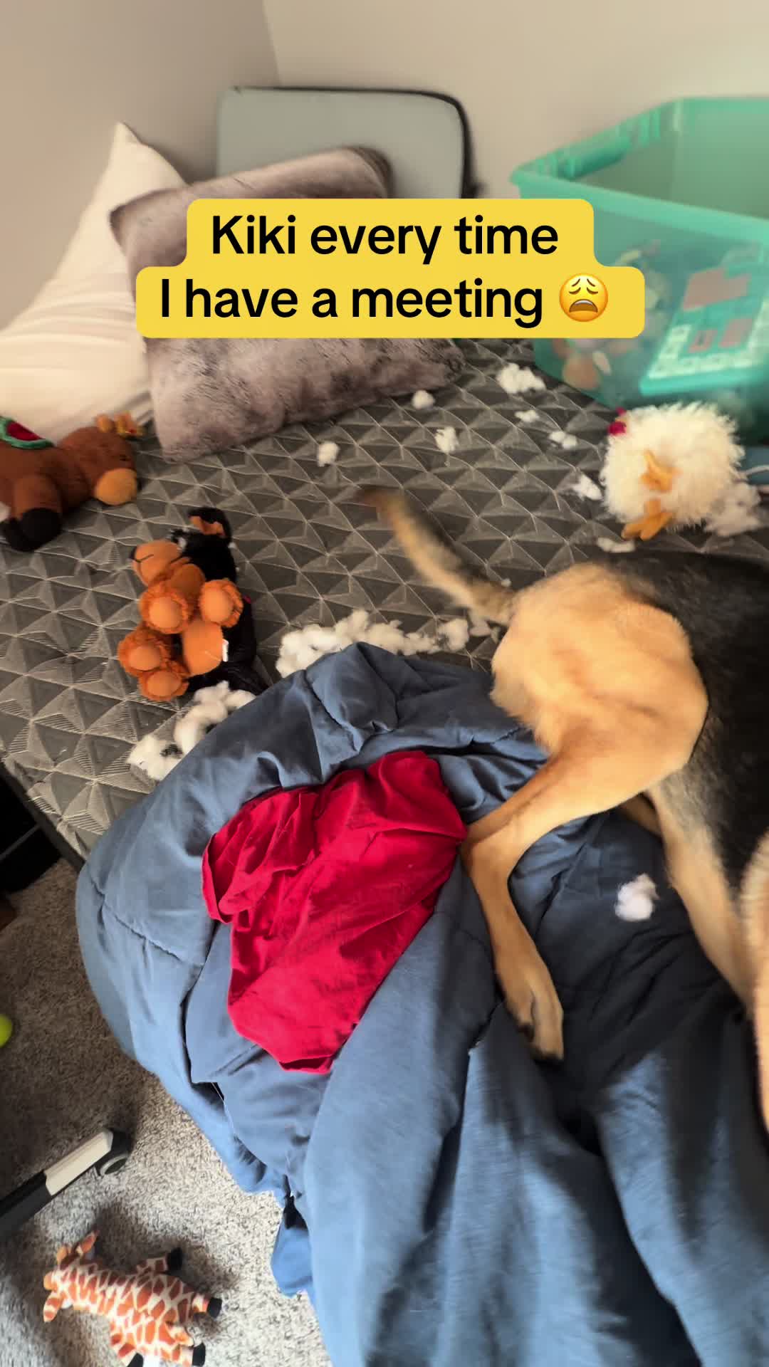@Kiki.GSD