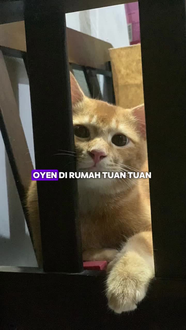 @Suhana