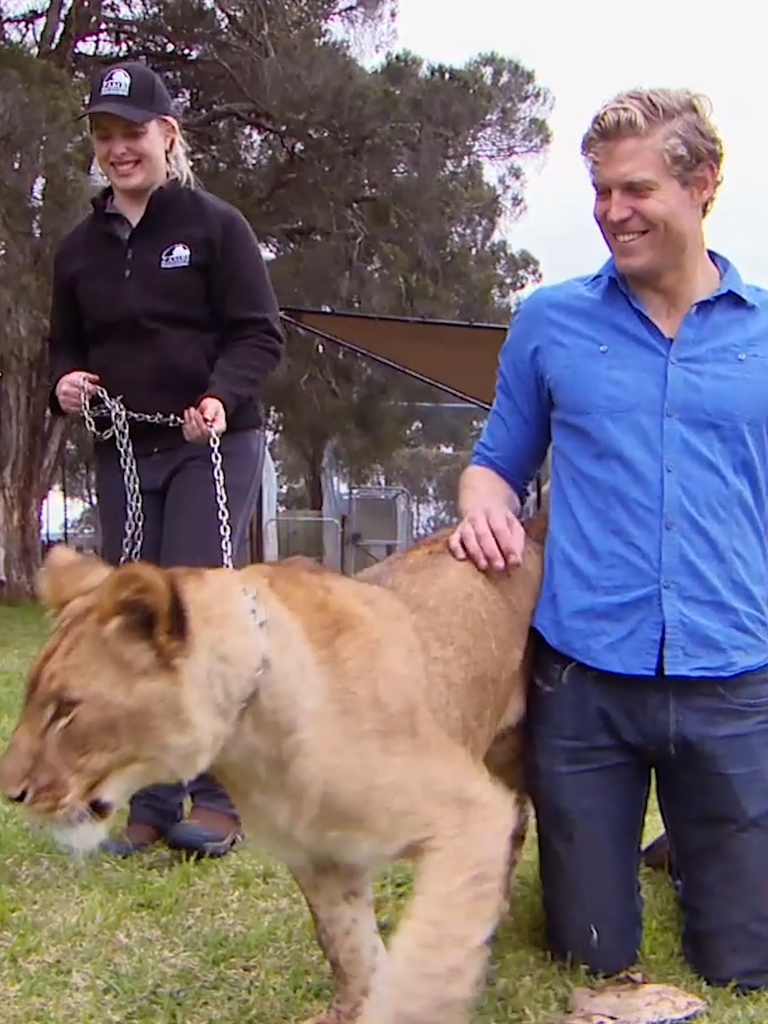 @Bondi Vet