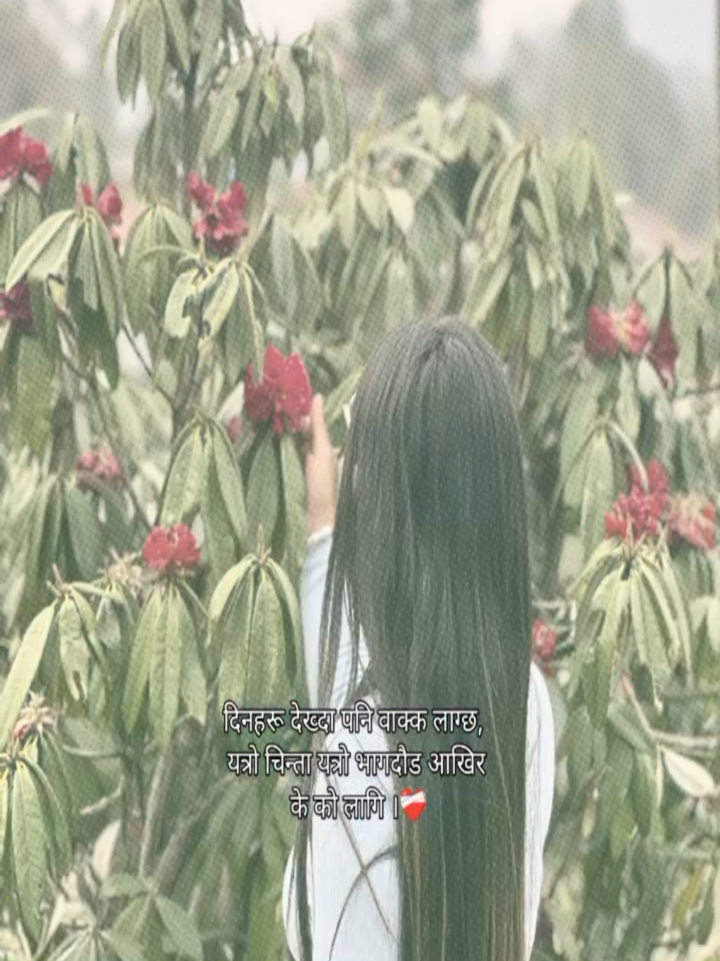 @@Ɓ&ucirc;Ŋų🫶💗