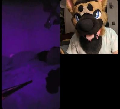 @Tolfzilla