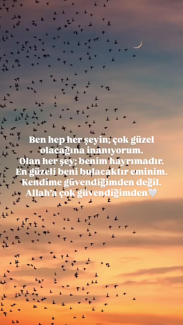 @ainoorf