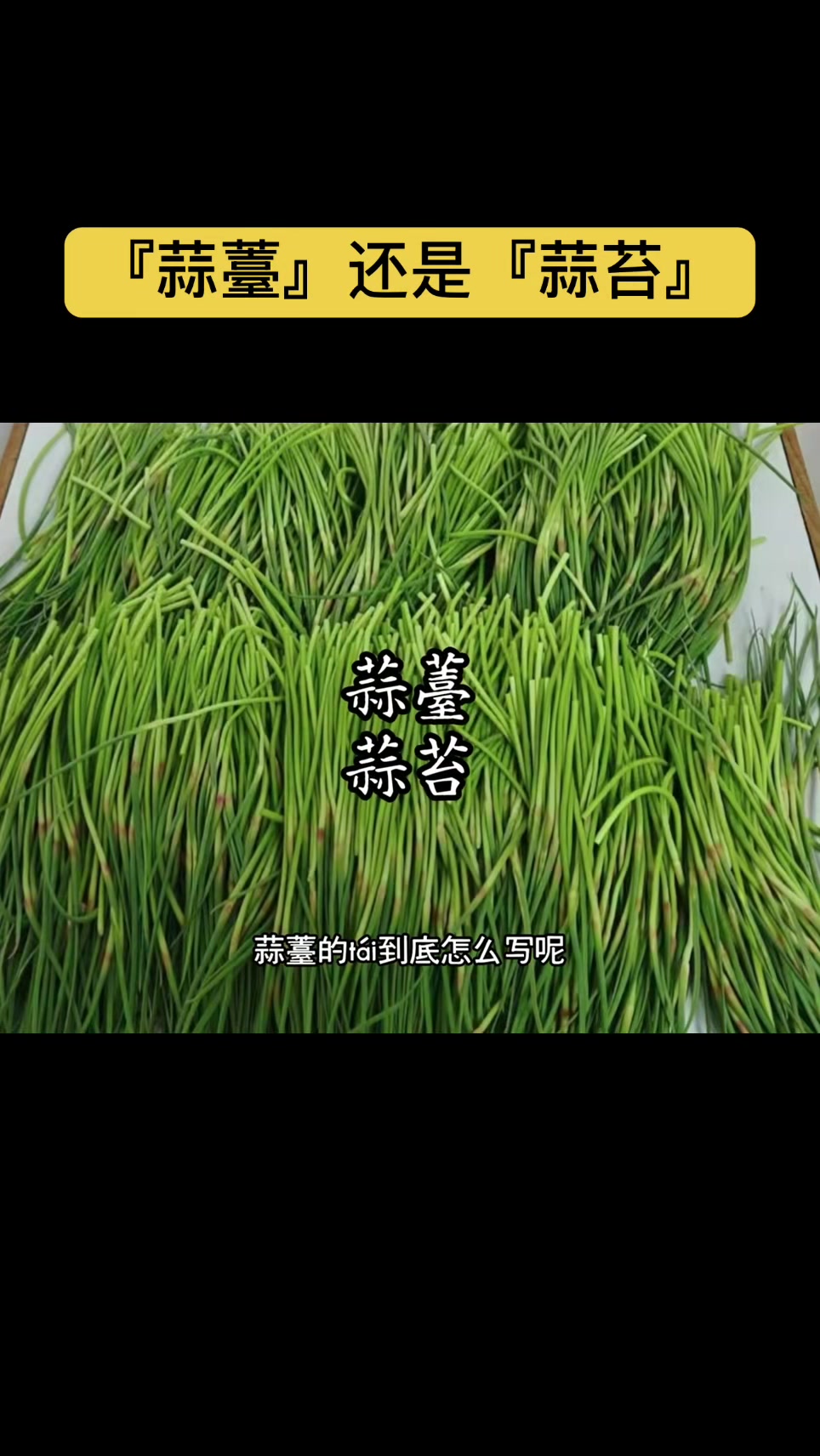 @gonghonglei