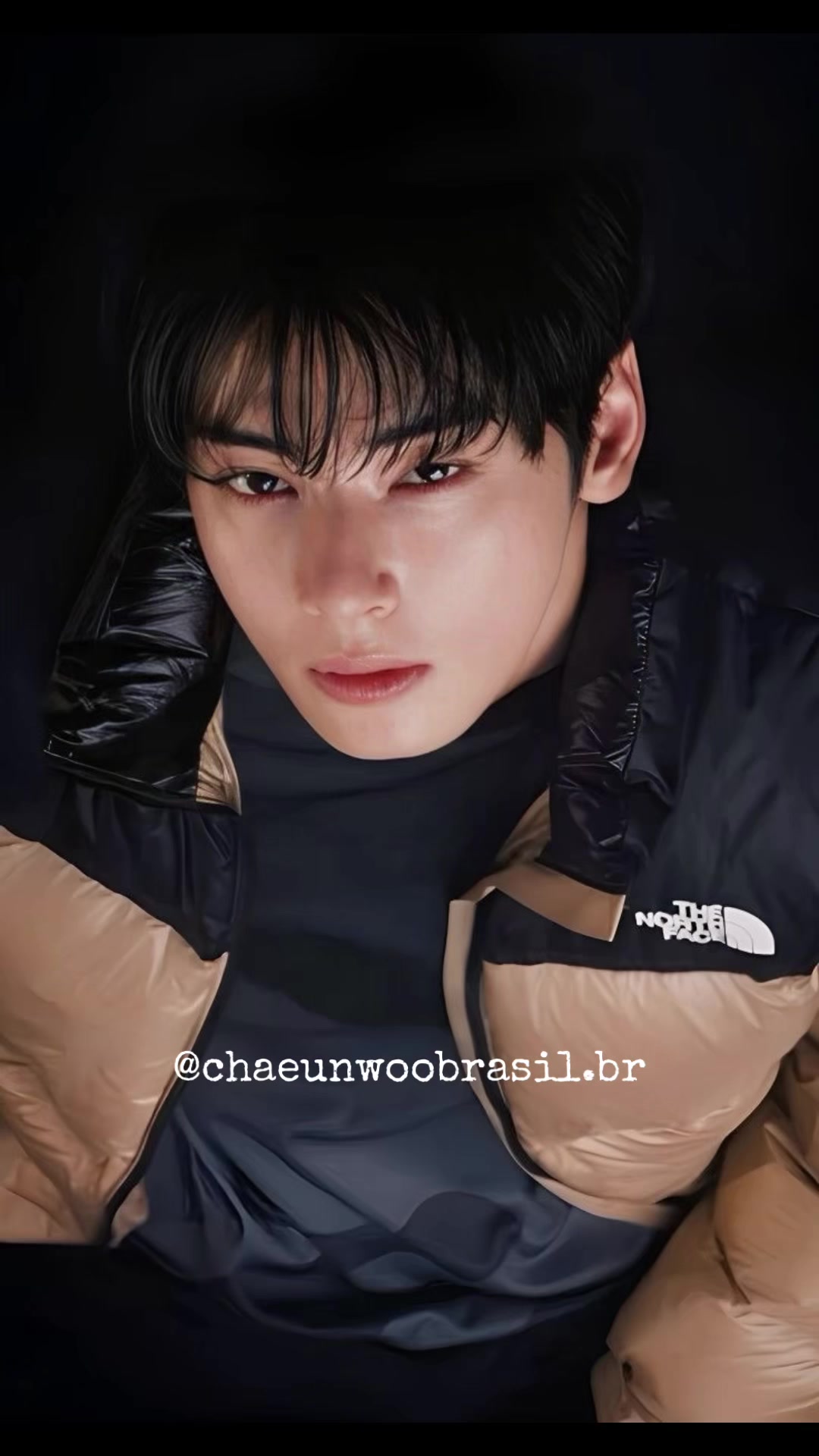 @chaeunwoobrasil.br