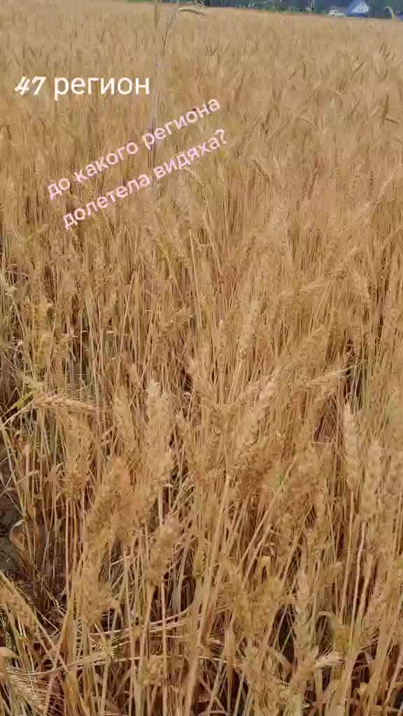 @Аня Очагова