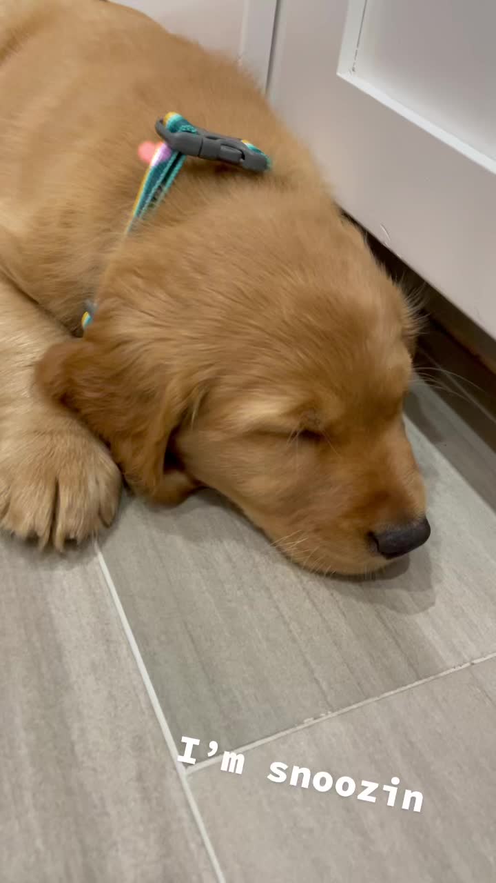@Westley The Golden