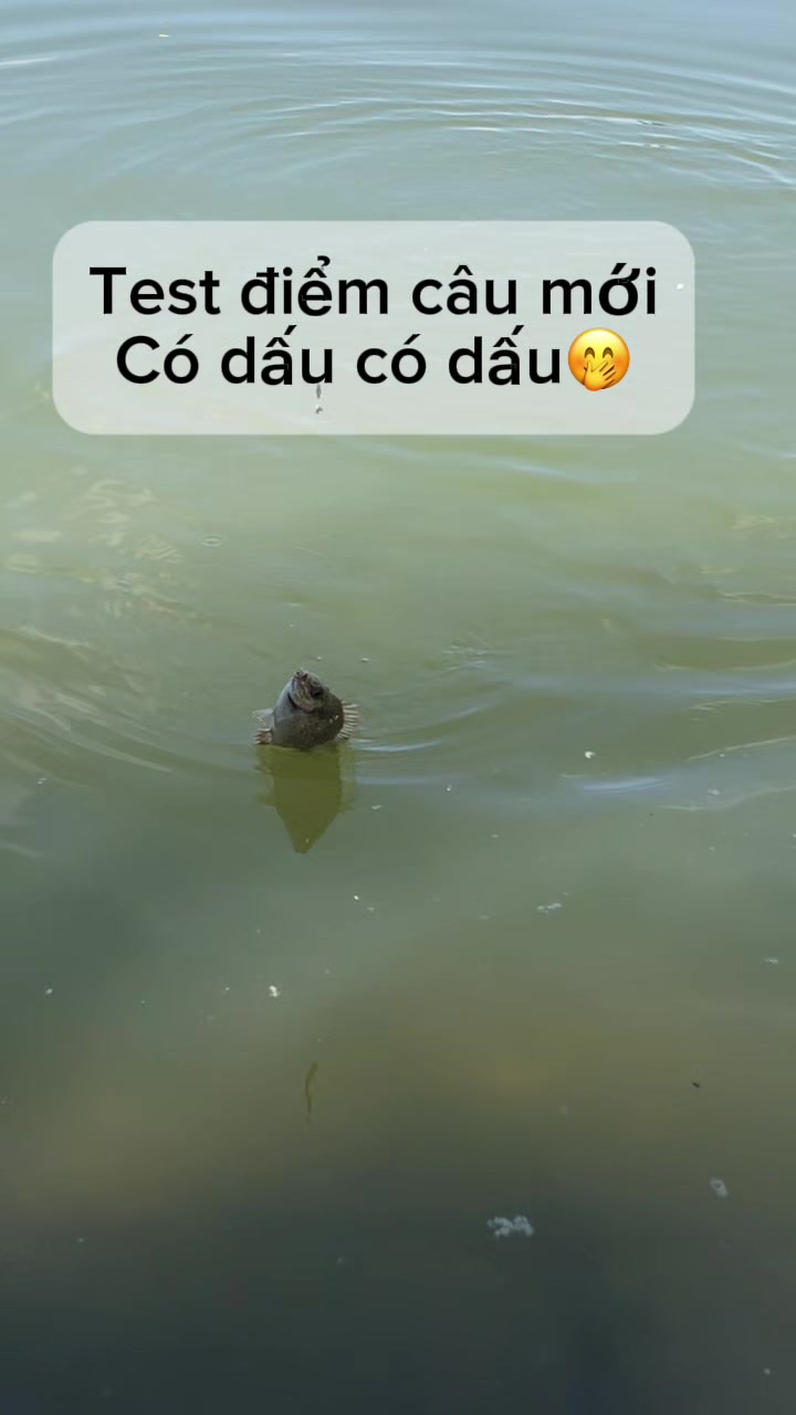 @câu cá Nha Trang