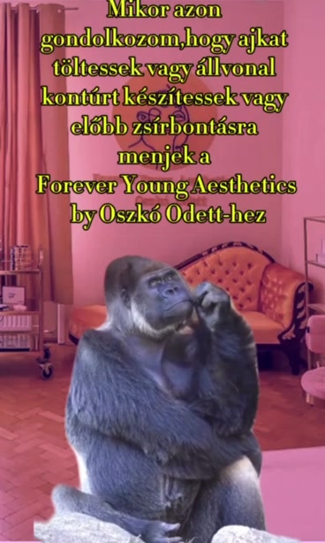 @odettoszko