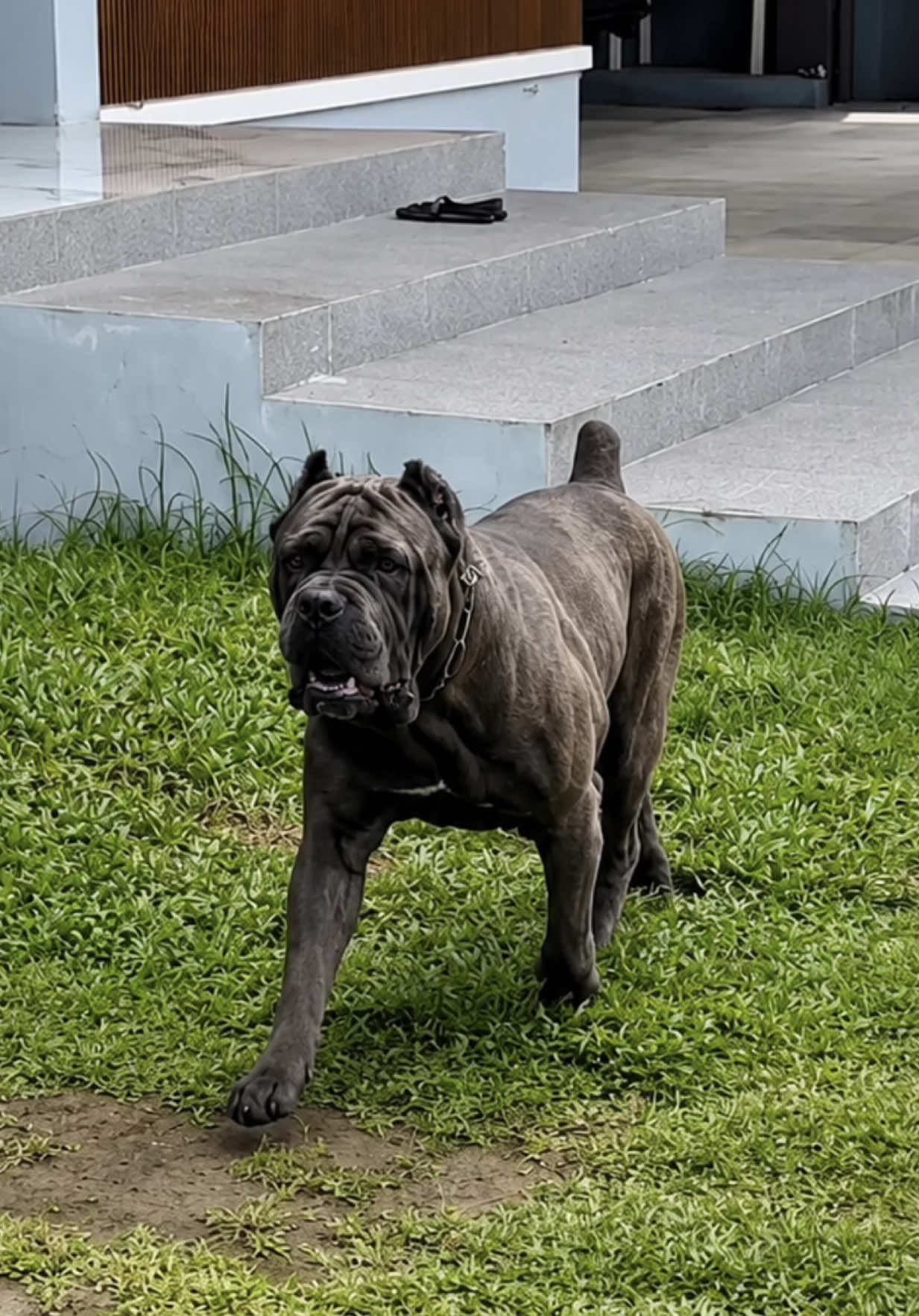 @Zeek Detiquez