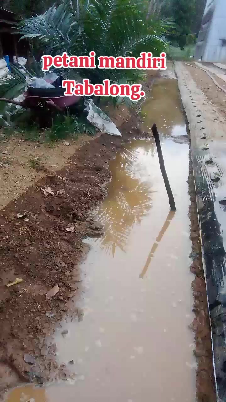 @SURYA TANI