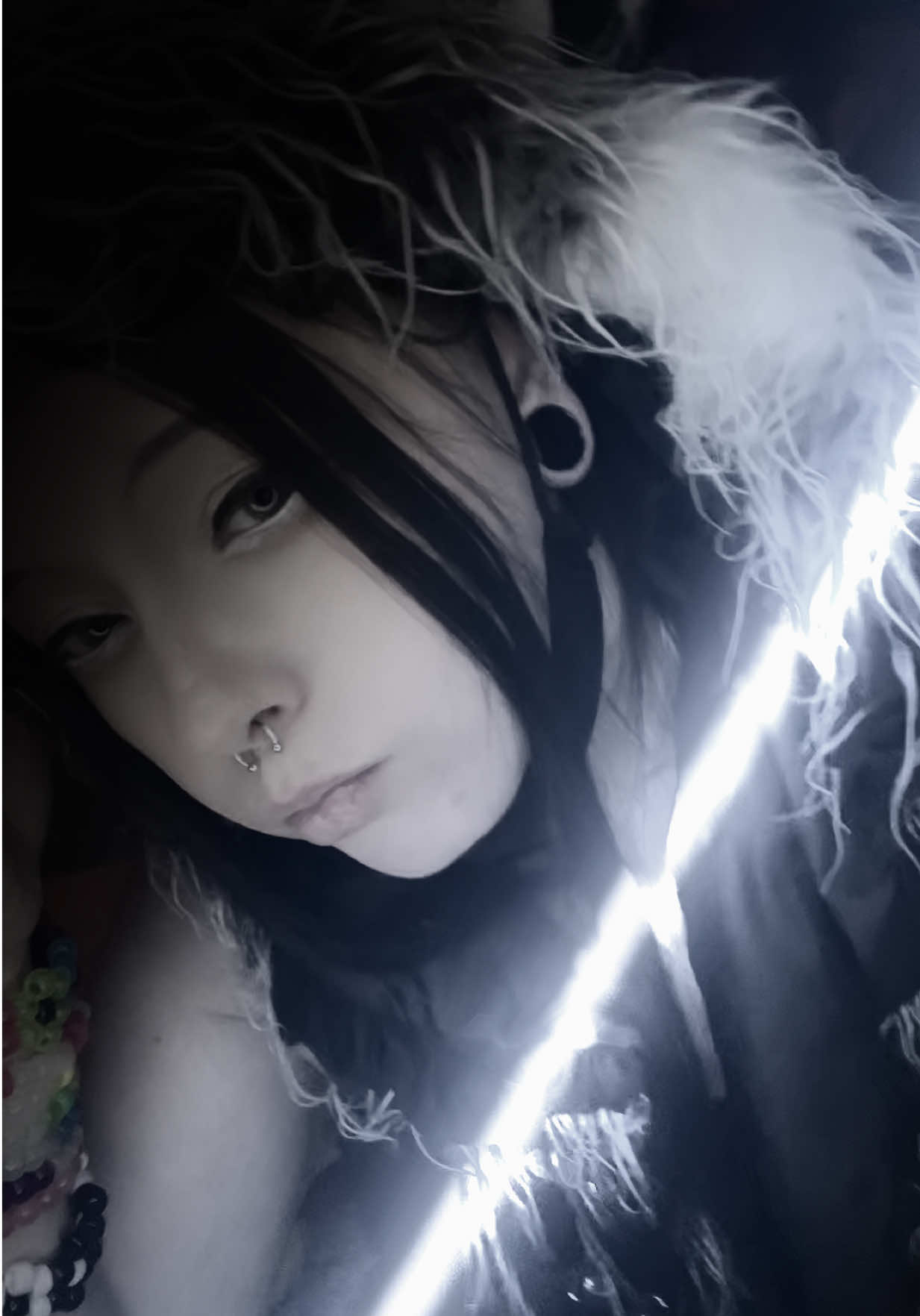 @sxd.dreamer