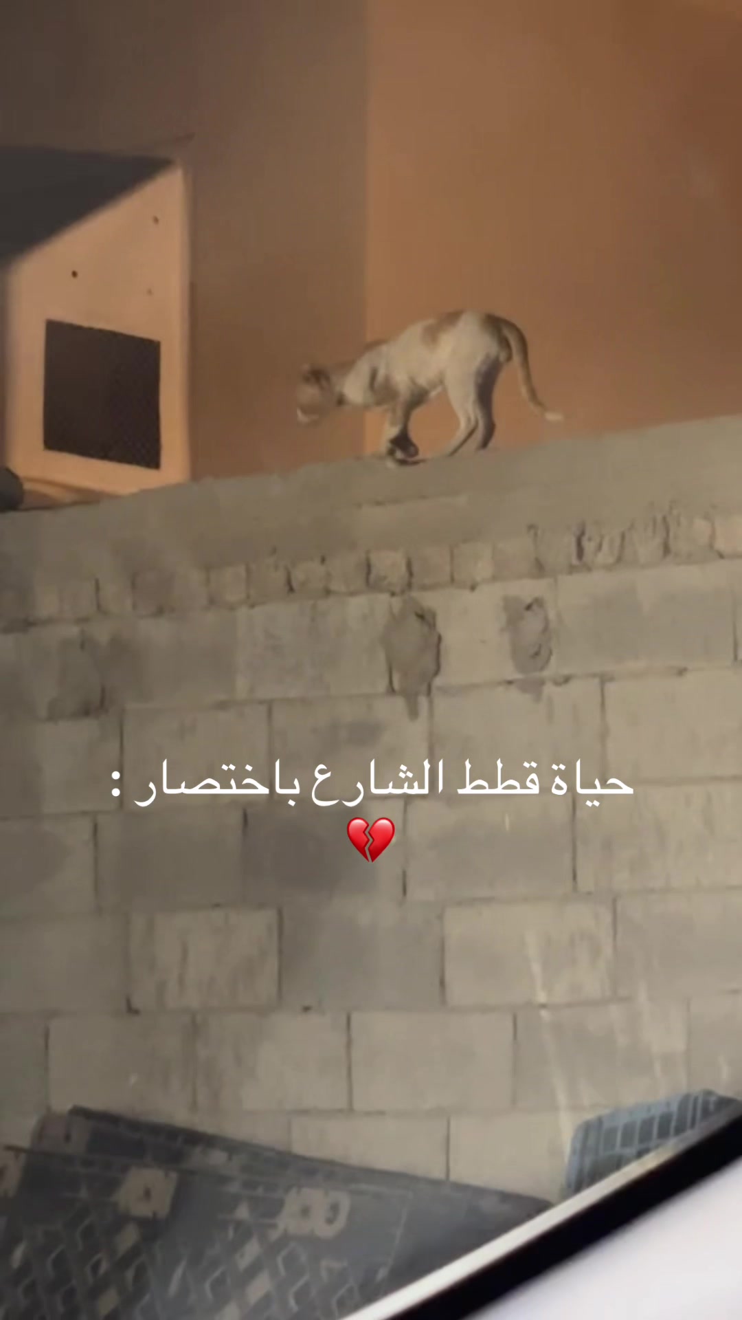 @JK