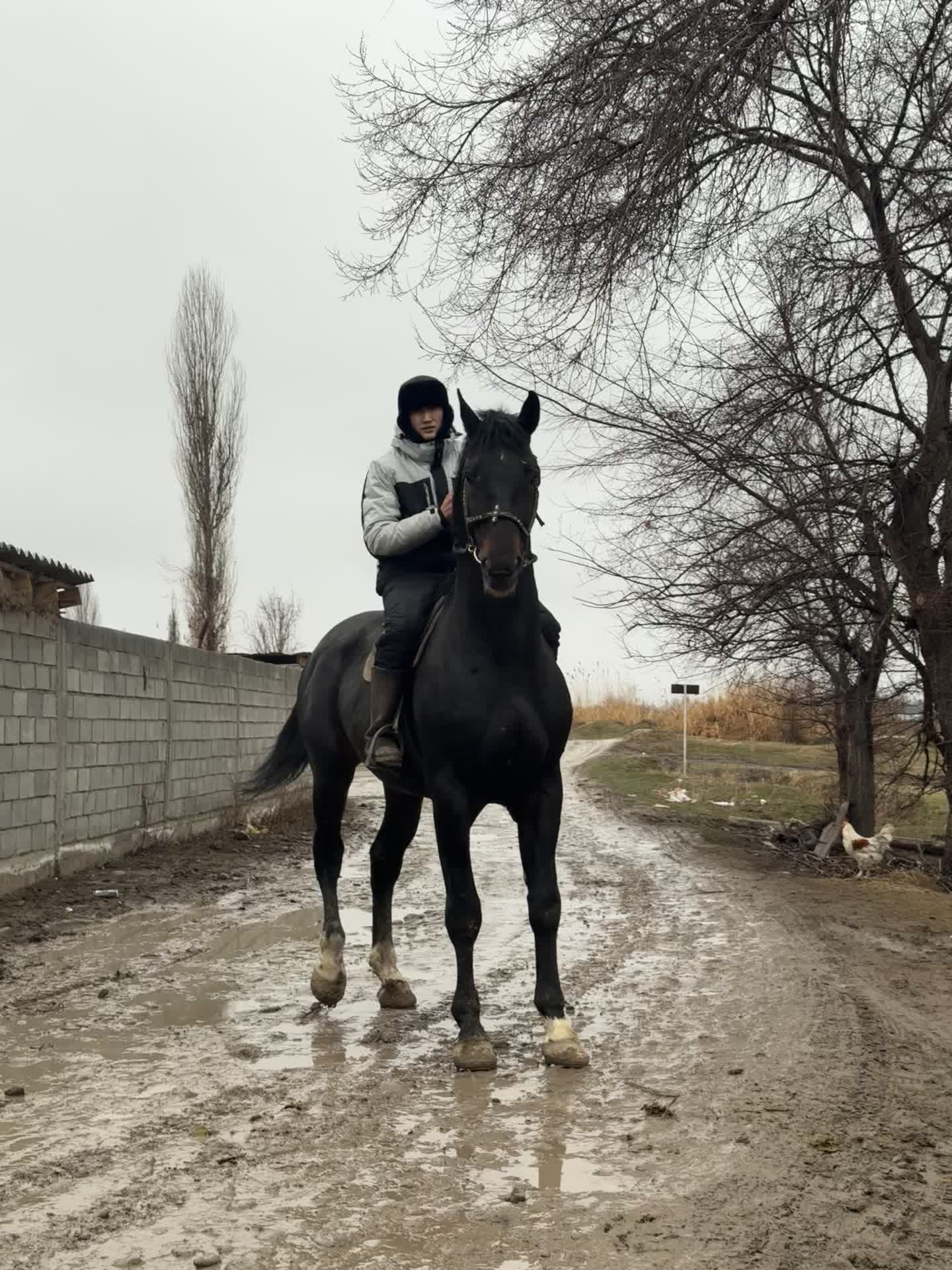 @abdykalykov_akylbek