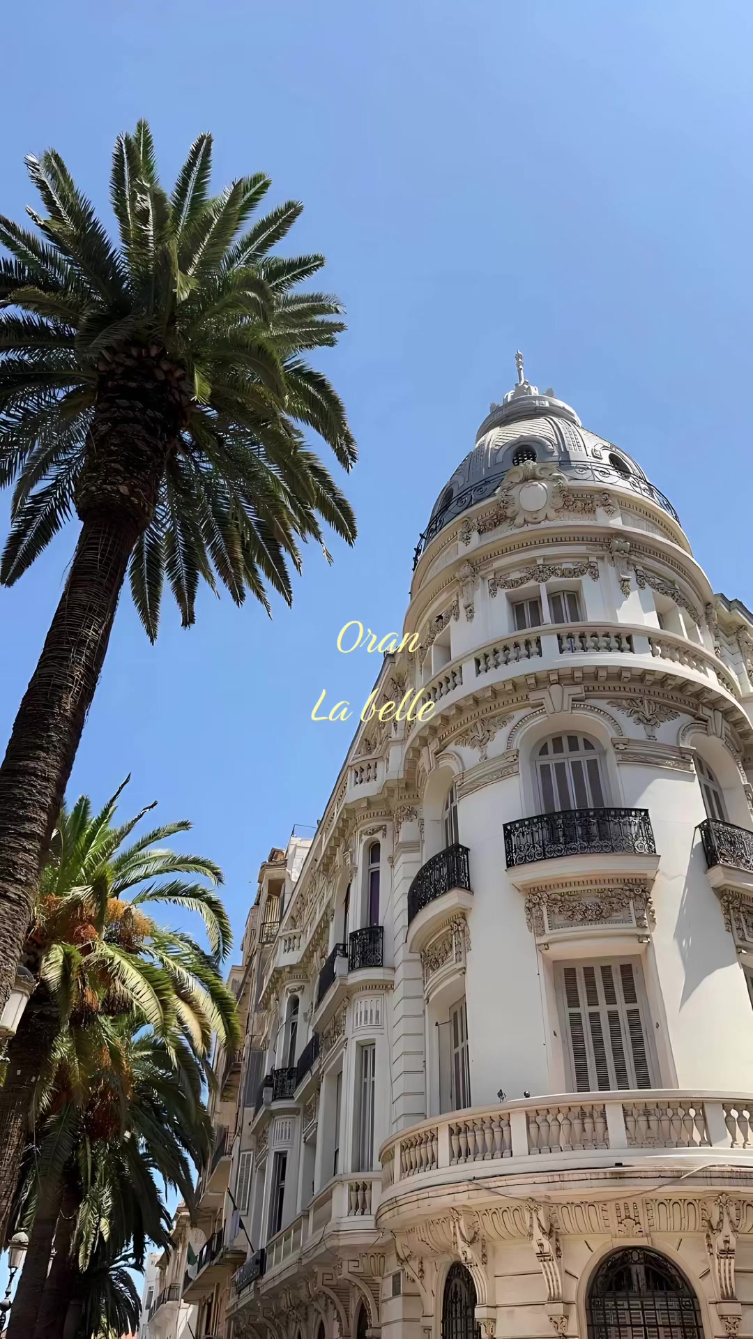 @🇩🇿