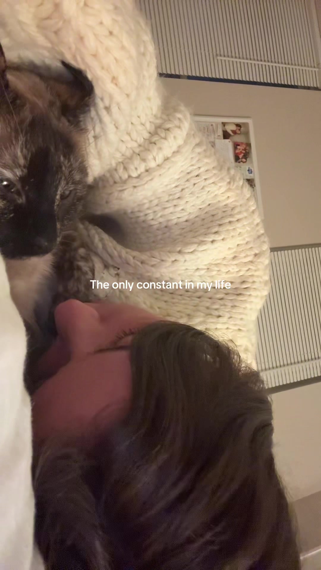 @Audrey Esko