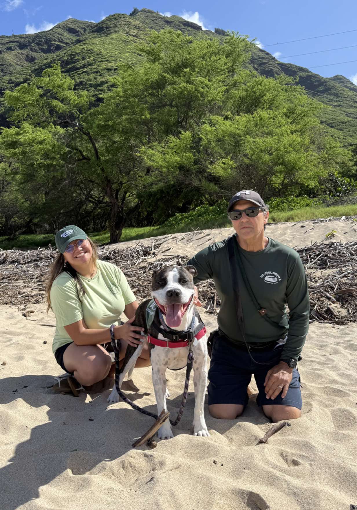@Hawaiian Humane Society