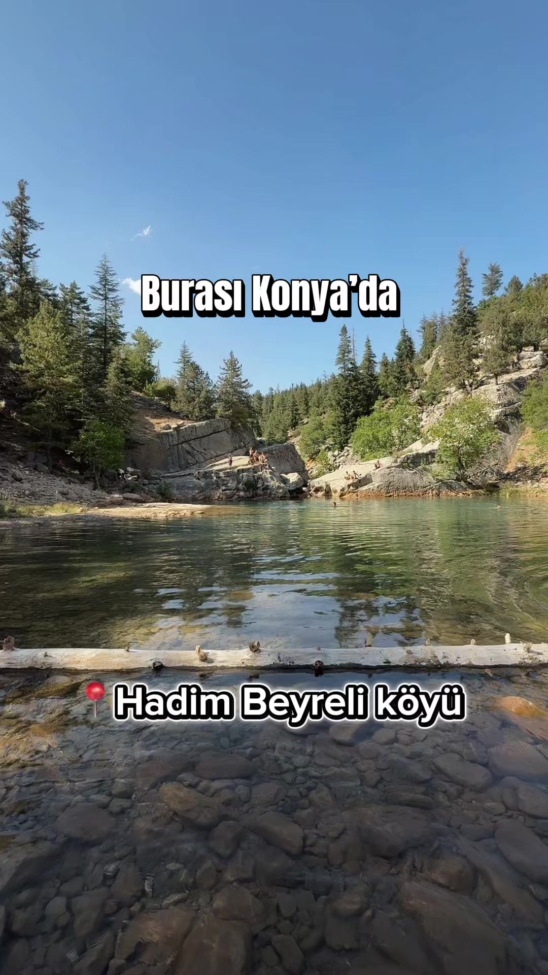 @Almina Ay&ccedil;i&ccedil;ek