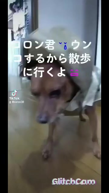 @タイガーコロンあぶちゃん