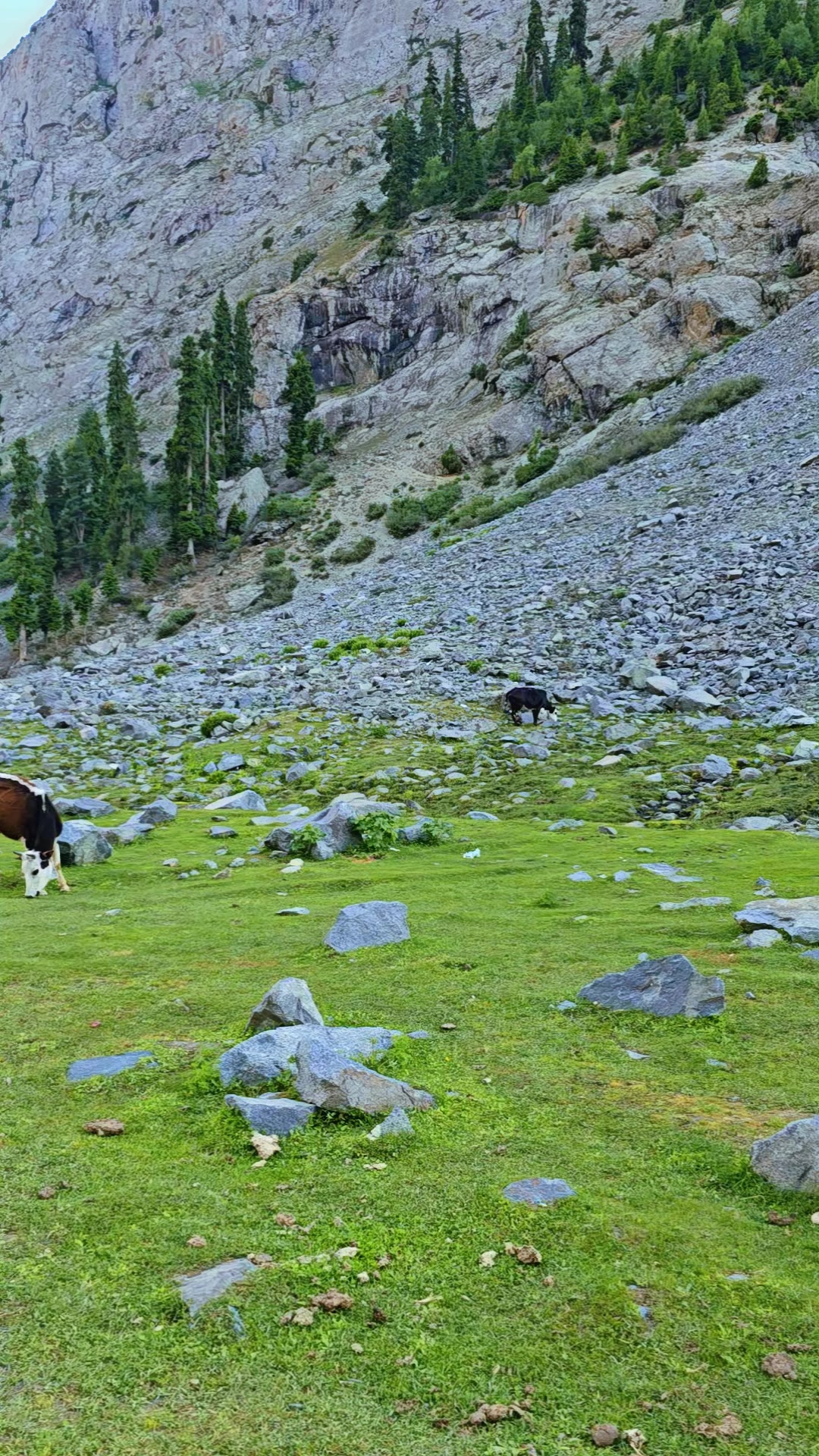 @Travel with Shahid 77