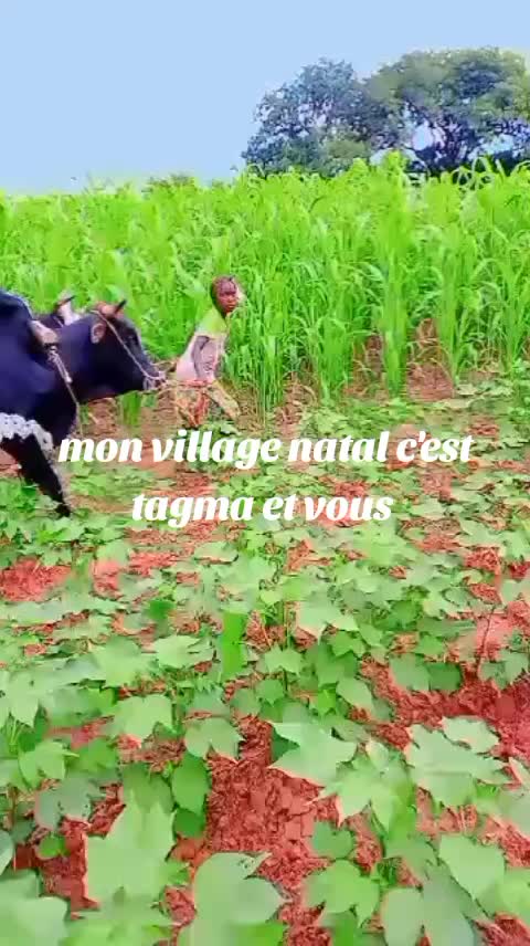 @🇧🇫💲FILS🇧🇫 KOURAOGO 226🔊
