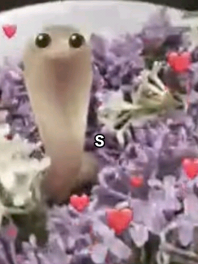 @️