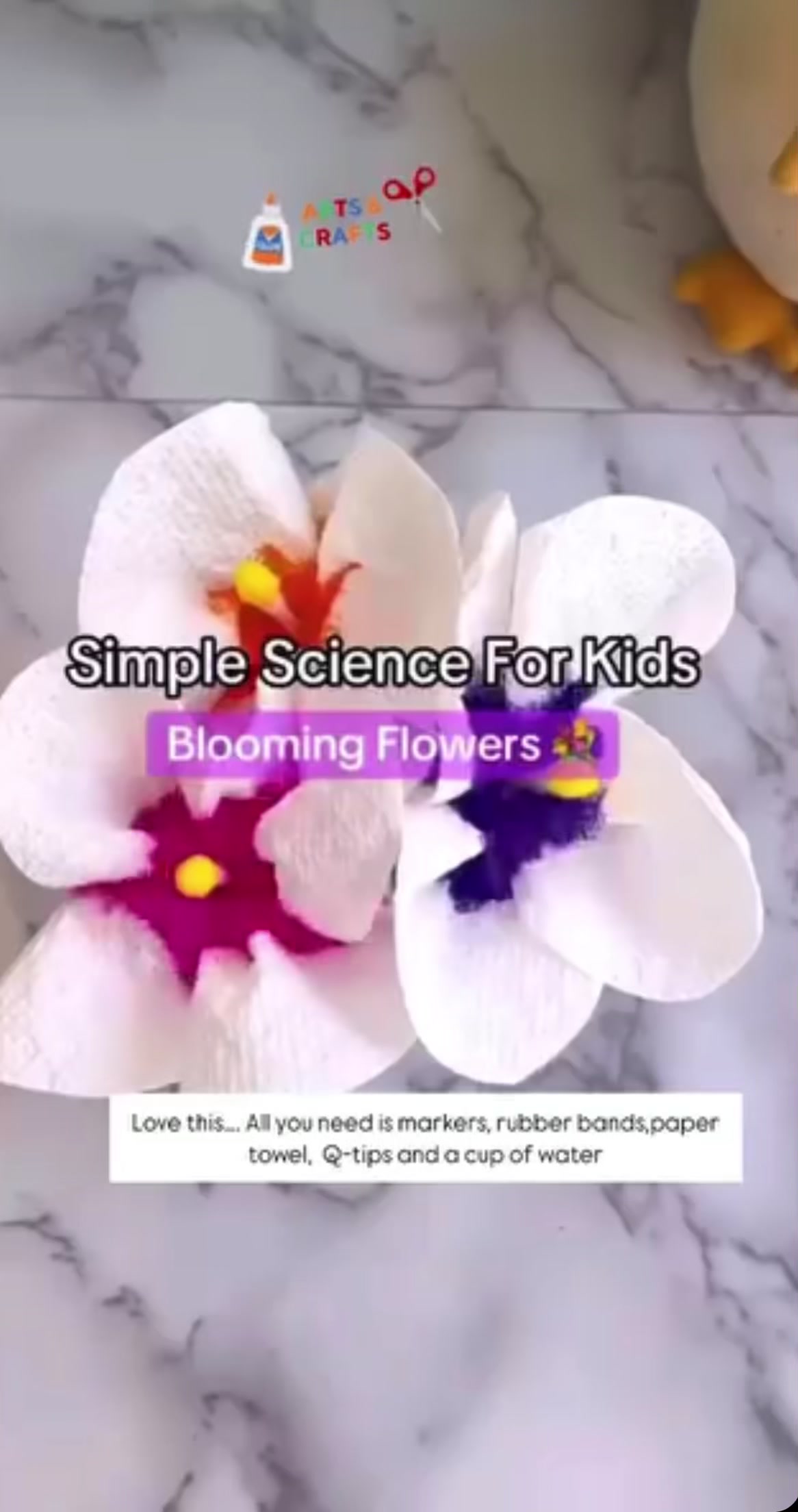@Amanda Cisko