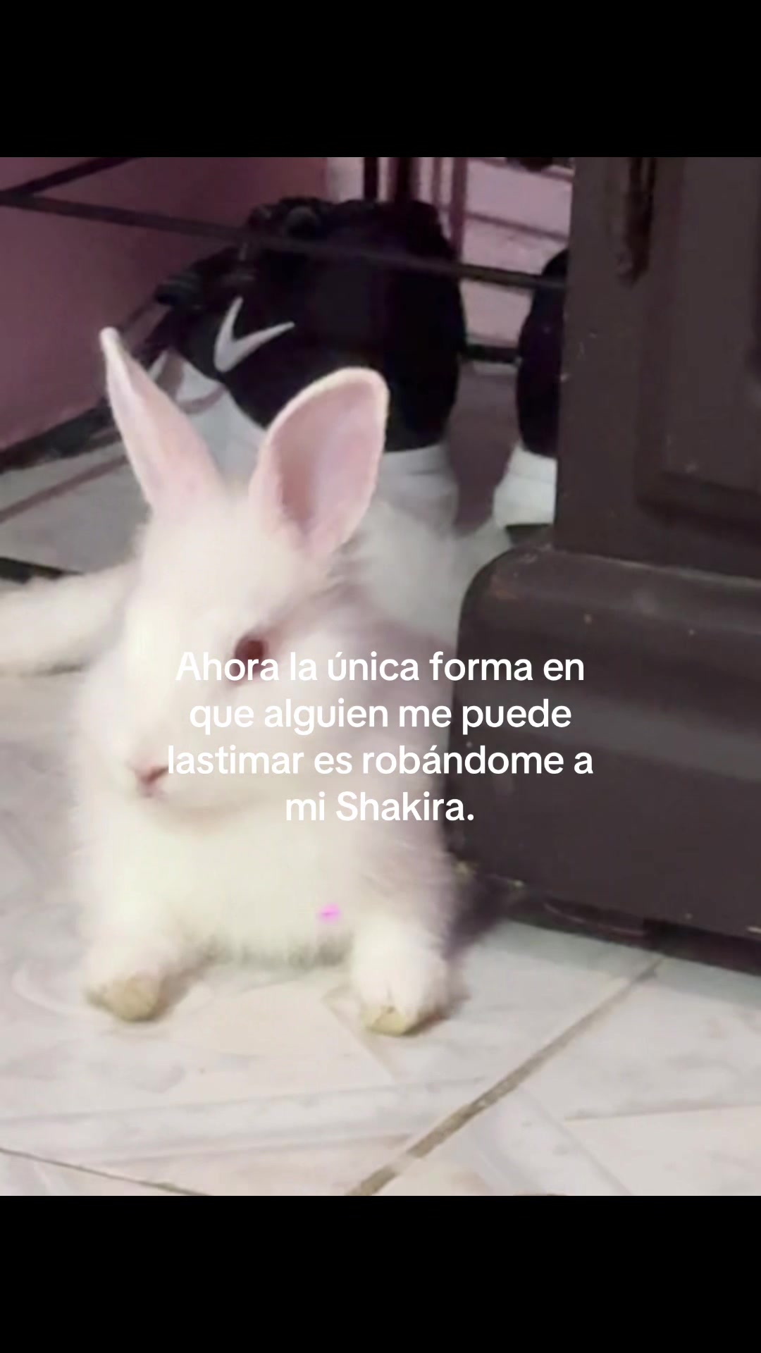 @IRMITAAAAAA🐼