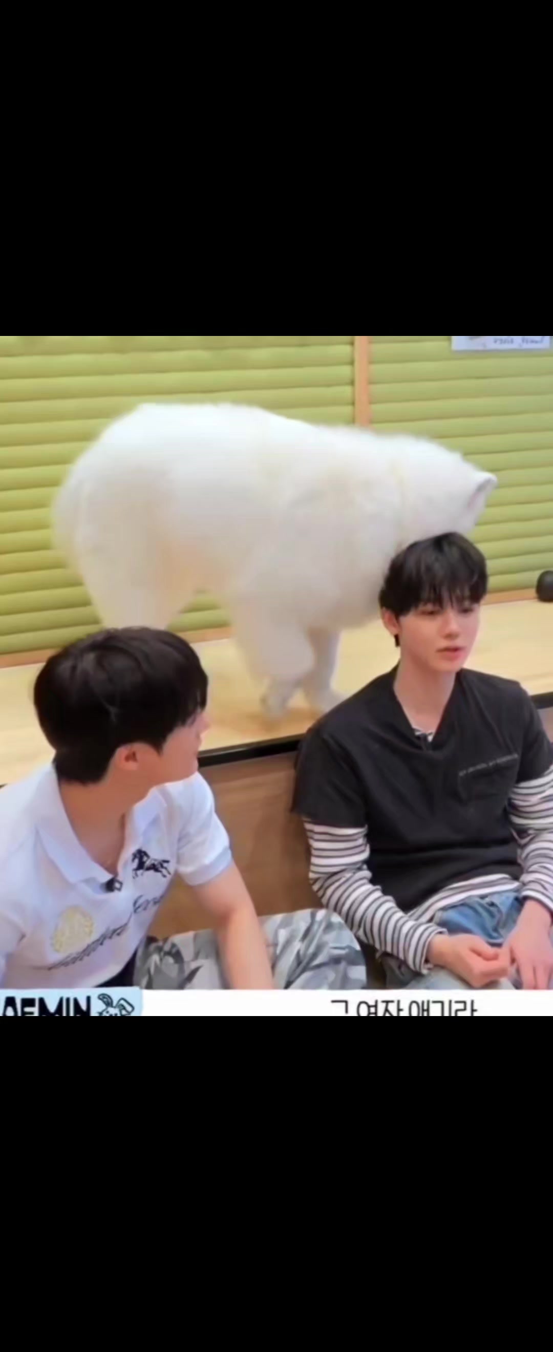 @dedek jaehyun