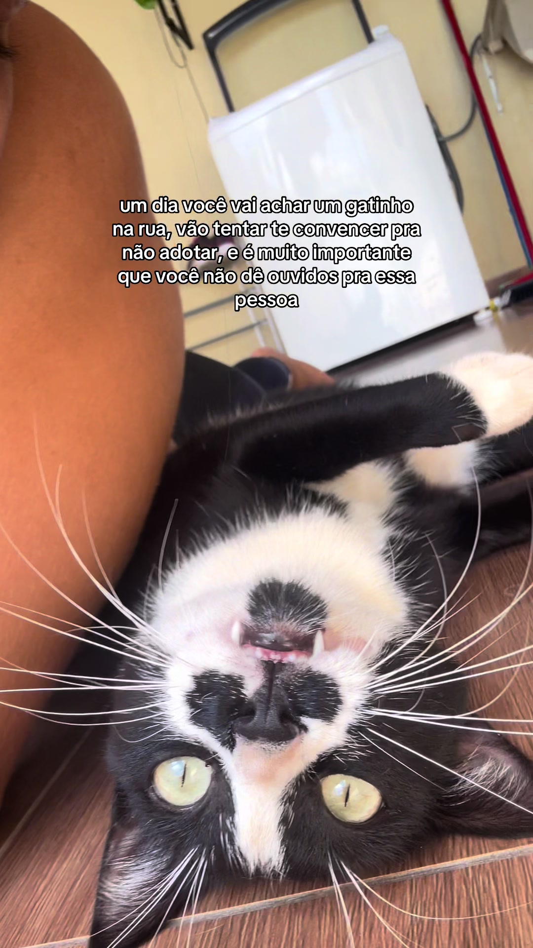 @minemouse