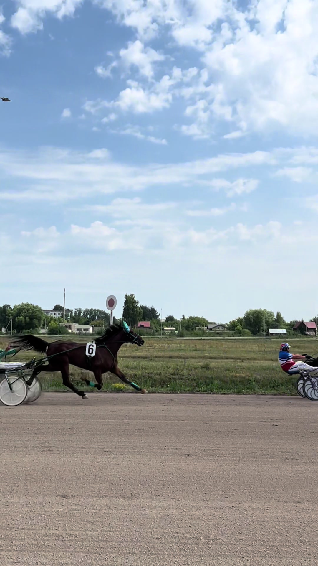 @ТГК: Sonya and the Trotters🐴