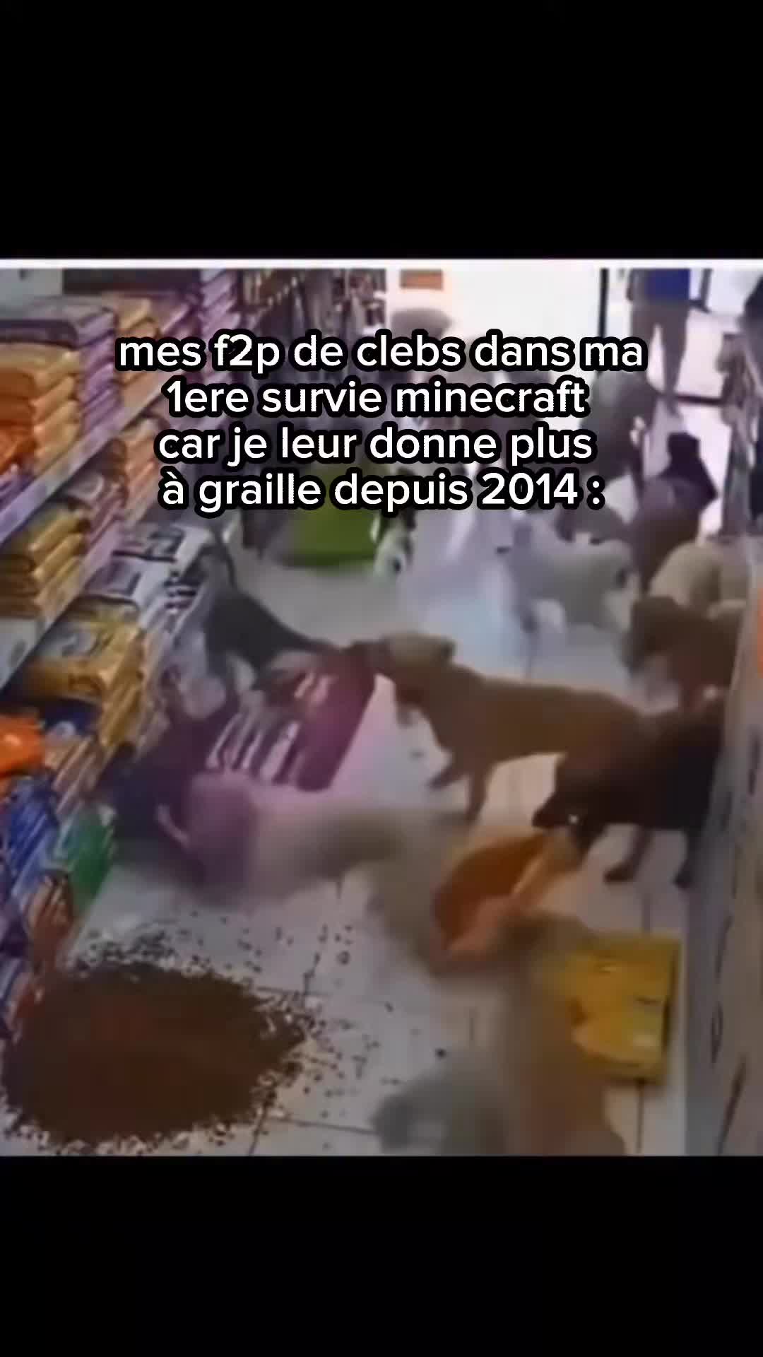 @🇫🇷MASPUCHO🇫🇷